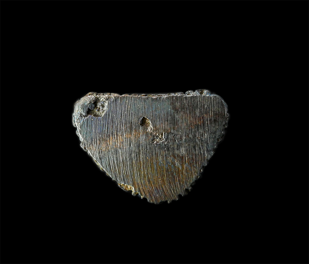 18Mar25 (161)ap.jpg - รูปหล่อหลวงปู่ส่วน วัดม่วงหวาน อ.บางบาล จ.อยุธยา เนื้อนวะโลหะ พระเก่าสวย พร้อมกล่องเดิมๆ หายาก | https://kamulet.in.th